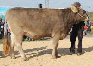 151024LU_OB_Schau 019